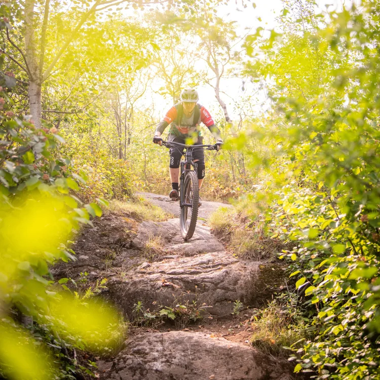 From the Heart of Duluth: Why Lakewalk is Sponsoring the Enger Park Trail
